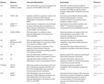 Astrocytes in Neuropathologies Affecting the Frontal Cortex